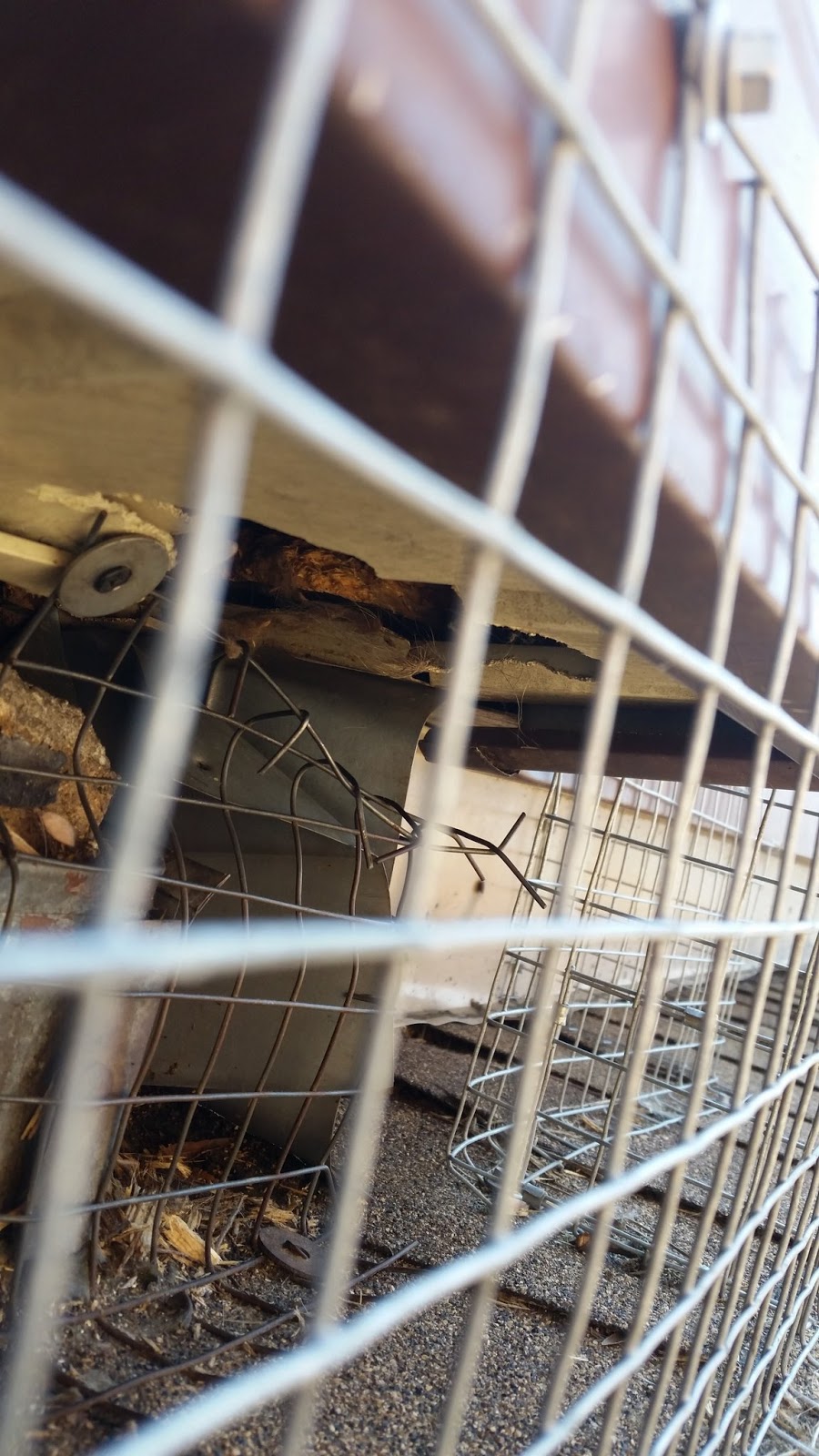 Done Right Pest and Wildlife Control | 1830 Main St W # 201, Hamilton, ON L8S 1H5, Canada | Phone: (905) 981-3663