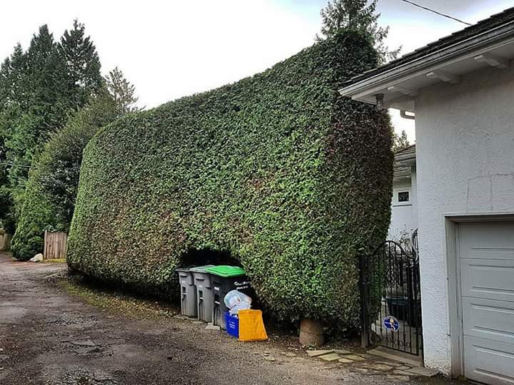 Pinecrest Landscaping Ltd. | 12th Ave &, English Bluff Rd, Tsawwassen, BC V4M 2A4, Canada | Phone: (604) 961-8406