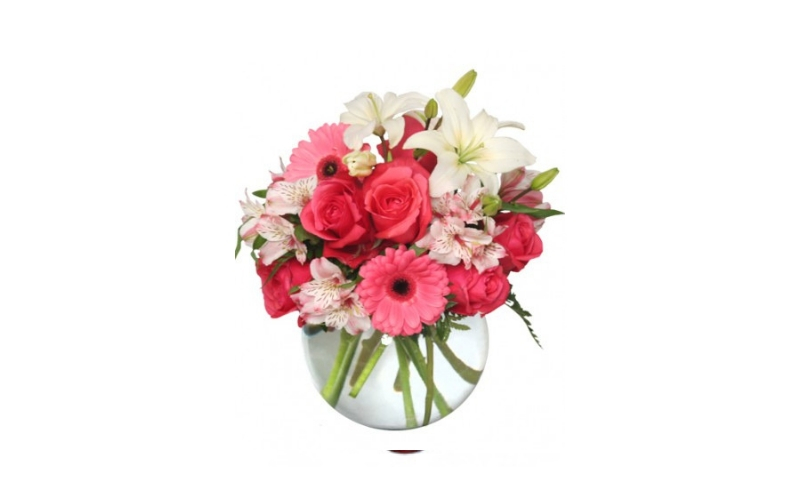 Jaggards Florist & Garden Centre | 107 Plains Rd W #6, Burlington, ON L7T 2C9, Canada | Phone: (905) 634-4543