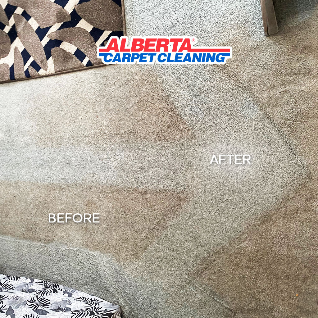 Alberta Carpet Cleaning | 3341 44 Ave SE, Calgary, AB T2B 3K6, Canada | Phone: (403) 235-6111