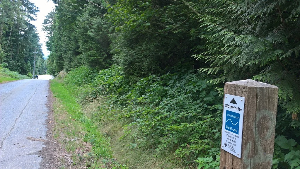 Burnaby Mountain Biking and Hiking Trails | University Dr E, Burnaby, BC V5A 4Y8, Canada | Phone: (604) 294-7944