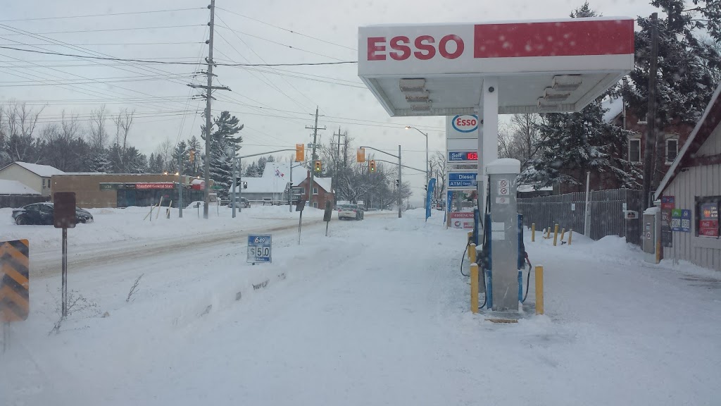Pioneer Gas Station & Pizza pizza | 936593 Airport Rd, Mansfield, ON L0N 1M0, Canada | Phone: (705) 435-4632