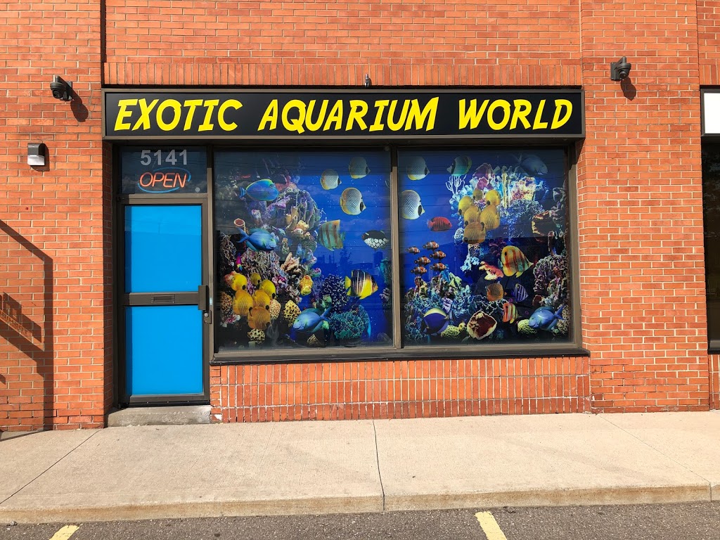 Exotic aquarium world | 5141 Tomken Rd, Mississauga, ON L4W 3W4, Canada | Phone: (905) 624-4474