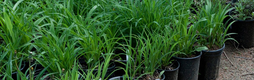 Recolte Sauvage (sur rendez-vous seulement) | 1339 Chem. de Lanaudière, Saint-Didace, QC J0K 2G0, Canada | Phone: (514) 882-3306