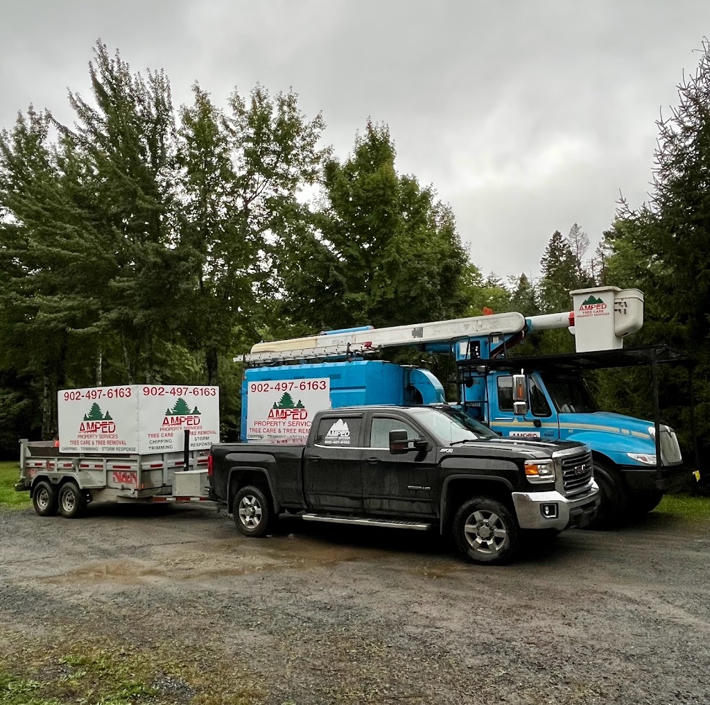 Amped Property Services | Big Lots Rd, Lunenburg, NS B0J 2C0, Canada | Phone: (902) 497-6163