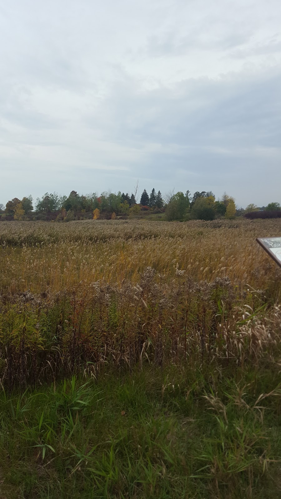 Taquanyah Conservation Area | 429 Decewsville Rd, Cayuga, ON N0A 1E0, Canada | Phone: (905) 768-3288