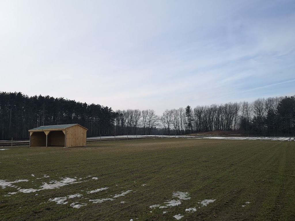 Ainsworth Farms | 1087 Charlotteville 10 Rd, Vittoria, ON N0E 1W0, Canada | Phone: (226) 567-8805