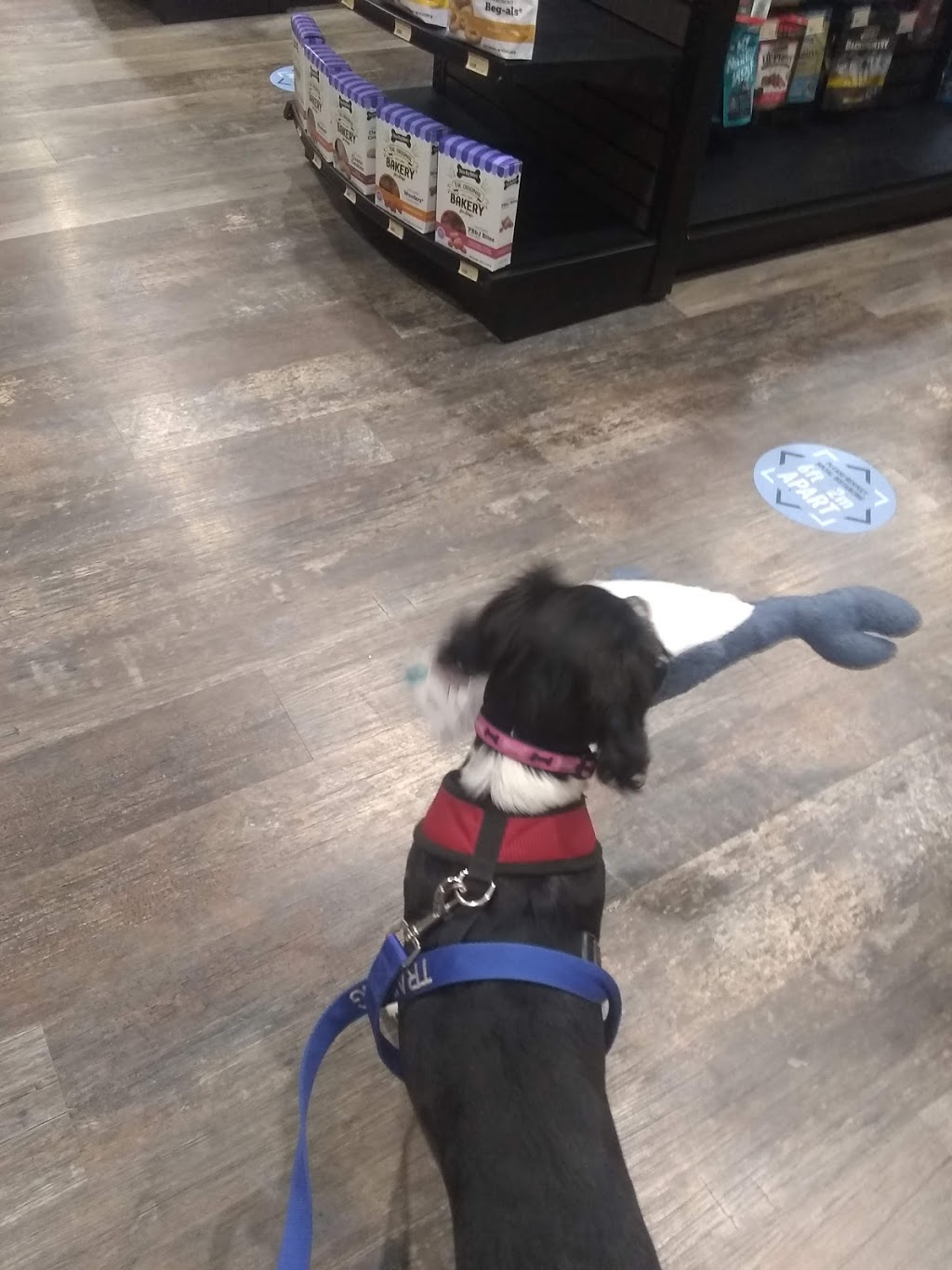 Pet Valu | 4 New, Pinegrove Rd Unit #5, Bridgewater, NS B4V 4H5, Canada | Phone: (902) 527-2104