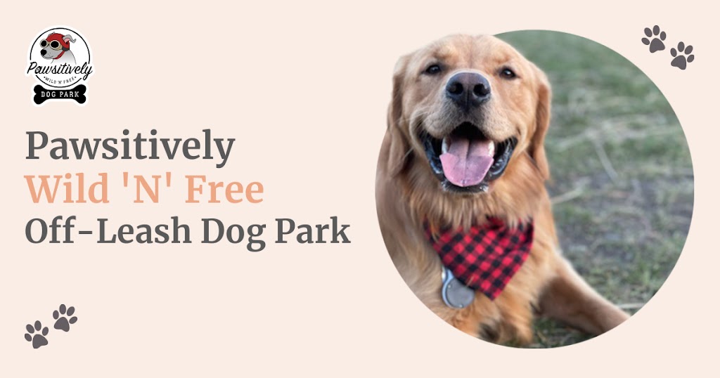 Pawsitively Wild N Free | W648+Q4, Indus, AB T1X 0H7, Canada | Phone: (403) 701-6323