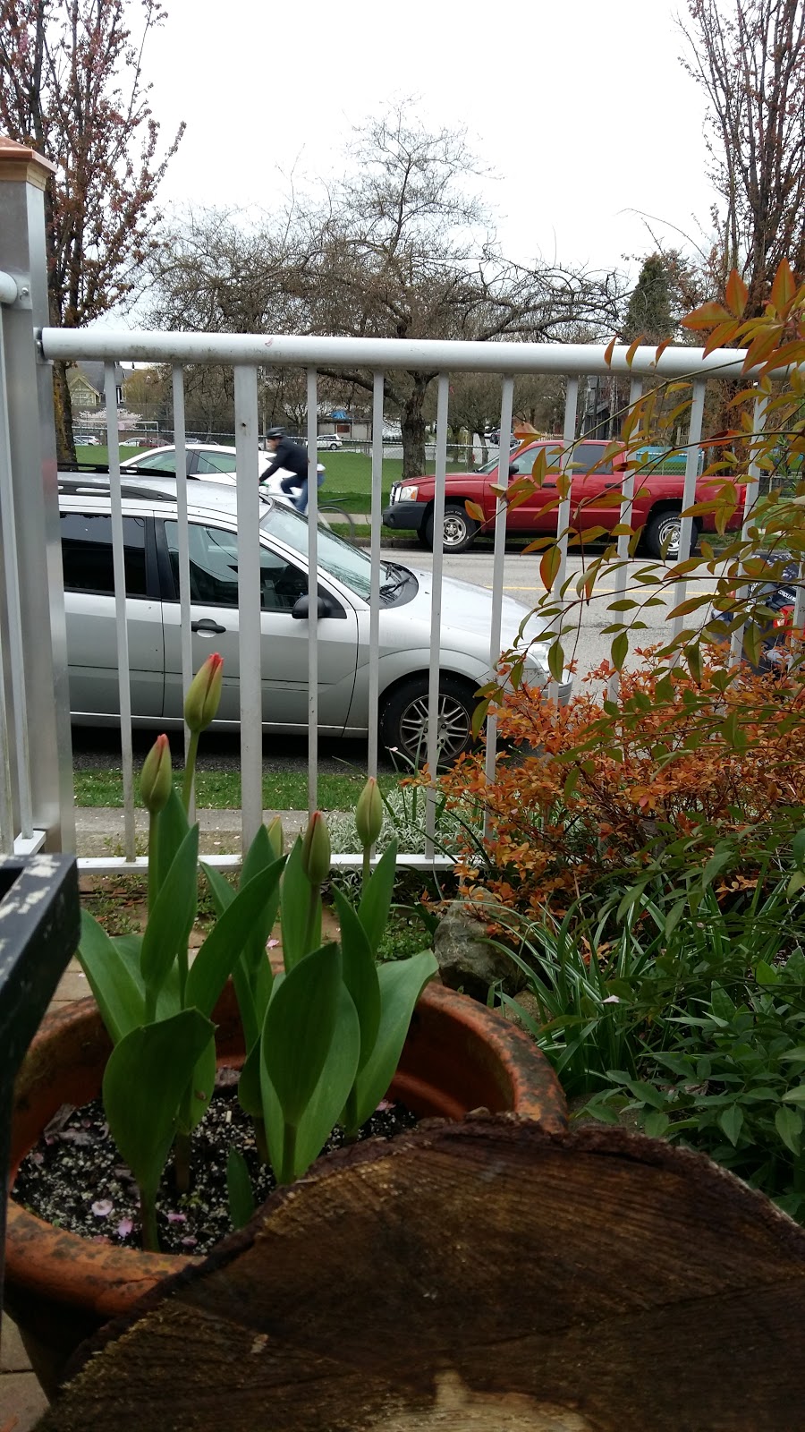 McSpadden Park | 2125 Victoria Dr, Vancouver, BC V5N 5Y4, Canada
