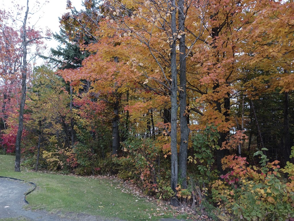 Halte de la Chaudière-Appalaches | 800 A. Jean-Lesage, Saint-Nicolas, QC G7A 1E3, Canada | Phone: (418) 831-4411