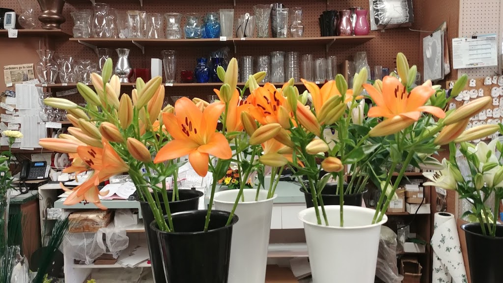 Nicol Florist | 846 Colborne St, Brantford, ON N3S 7H5, Canada | Phone: (519) 752-3142