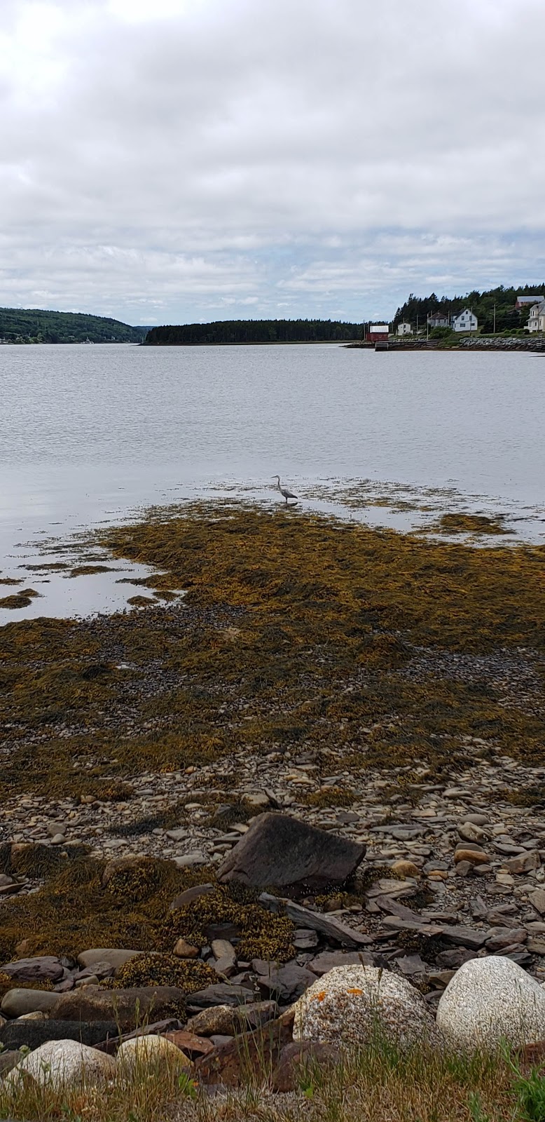 Old Confidence Lodge | 3831 NS-332, Riverport, NS B0J 2W0, Canada | Phone: (902) 766-0278