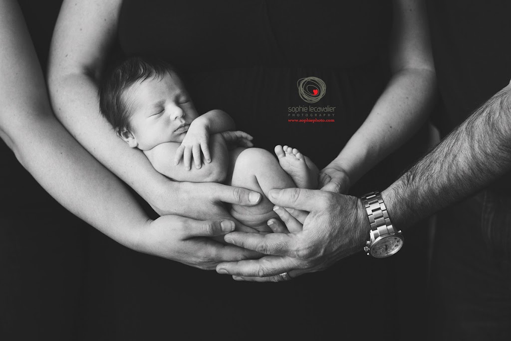 Sophie Lecavalier Photography | 4874 Cordova Bay Rd, Victoria, BC V8Y 2J5, Canada | Phone: (250) 661-2558