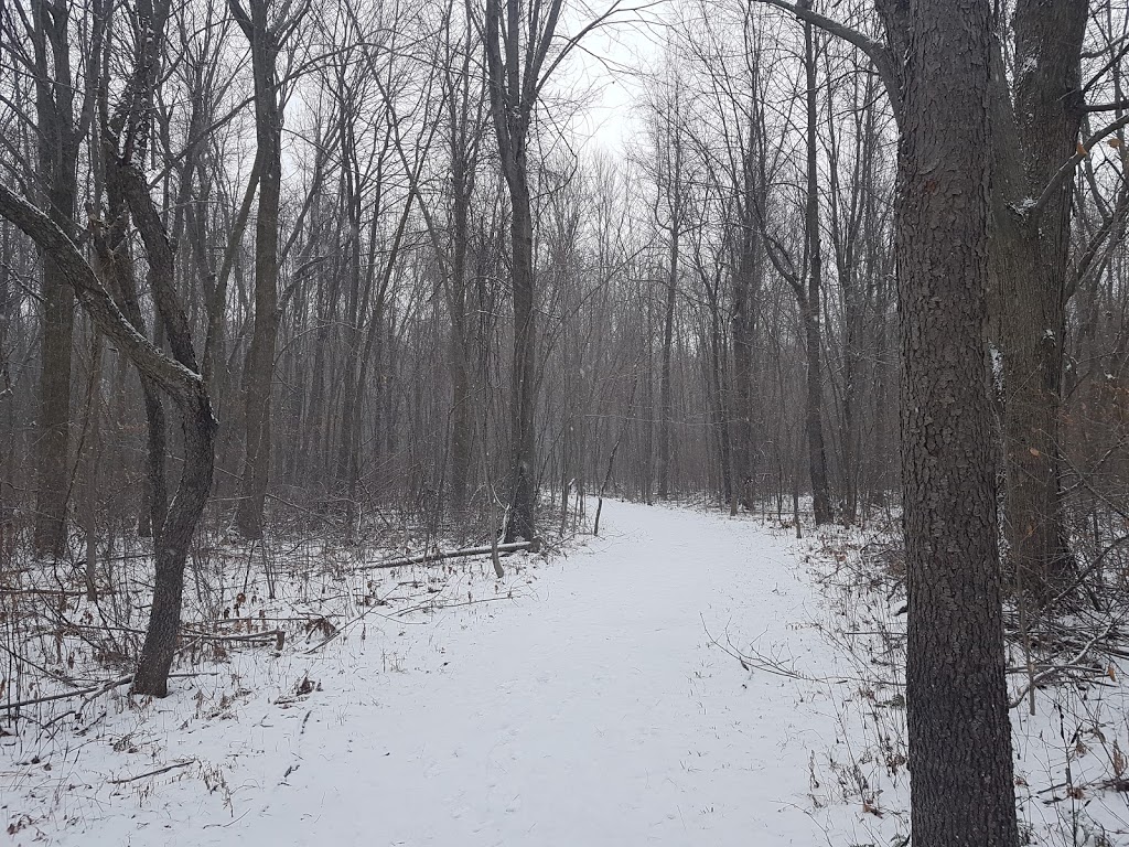 Baxter Conservation Area | 7498 Carter Rd, Kars, ON K0A 2E0, Canada | Phone: (613) 489-3592