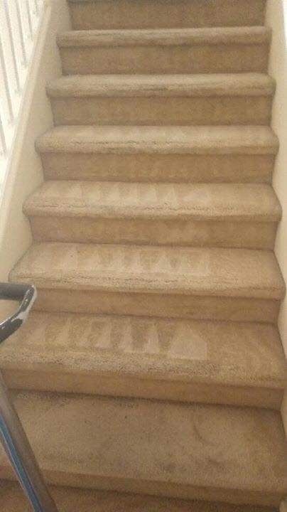 Steam Carpet Care | The Ave NW, Edmonton, AB T6P 7Y8, Canada | Phone: (587) 409-0797