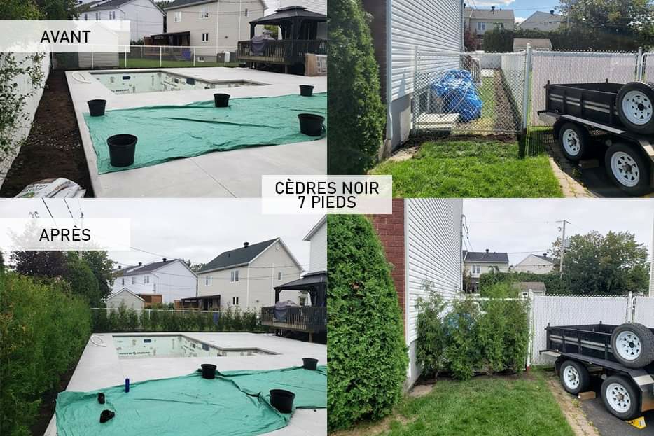 Cèdres Latraverse inc | 1415 Av. de la Chanterelle, Boisbriand, QC J7G 2V6, Canada | Phone: (514) 219-5305