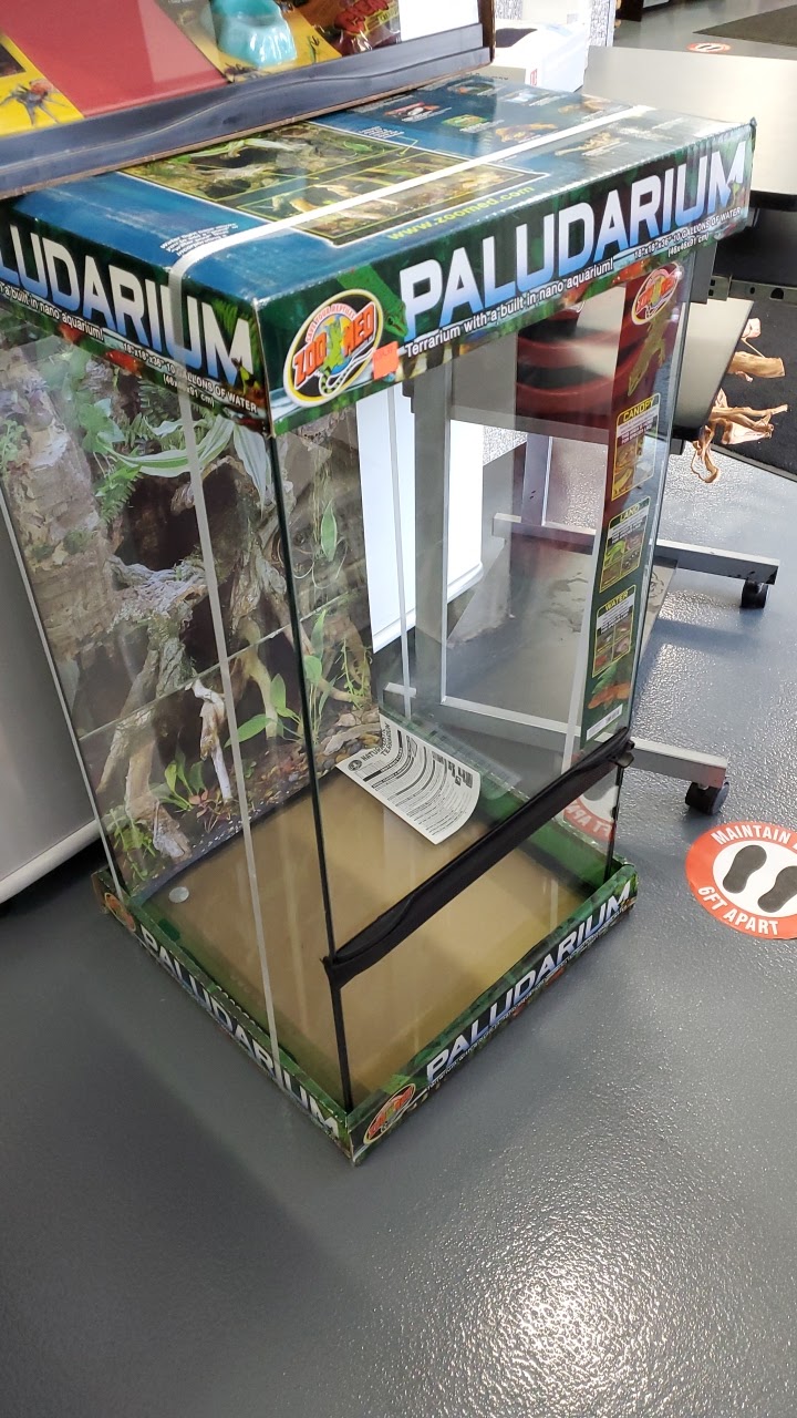 Tropical Gems | 165 Wellington St W Units 5&6, Barrie, ON L4N 1L7, Canada | Phone: (705) 999-9600