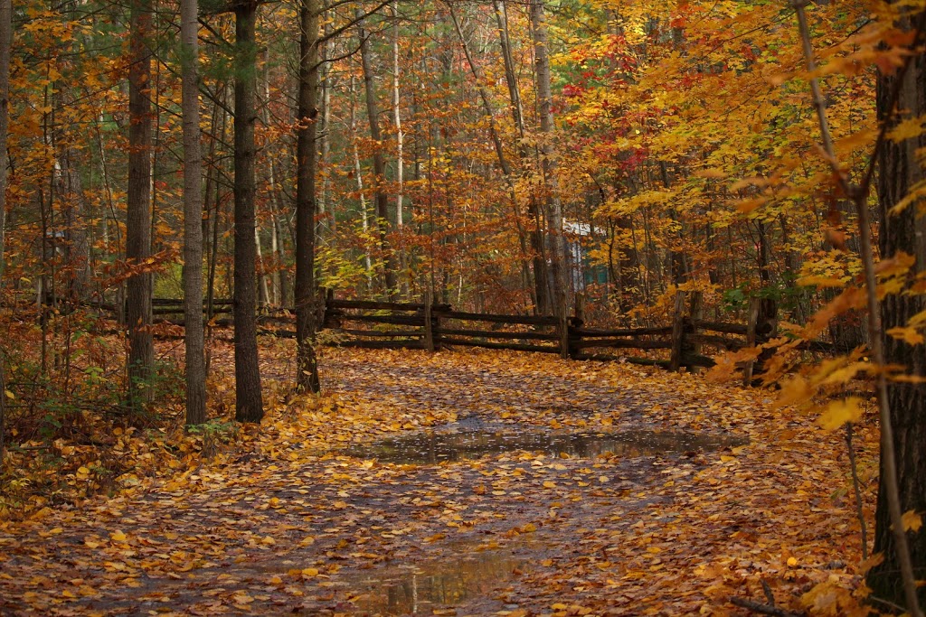 Sager Conservation Area | 30 Golf Course Rd, Quinte West, ON K0K, 30 Golf Course Rd, Quinte West, ON K0K, Canada | Phone: (613) 394-4829