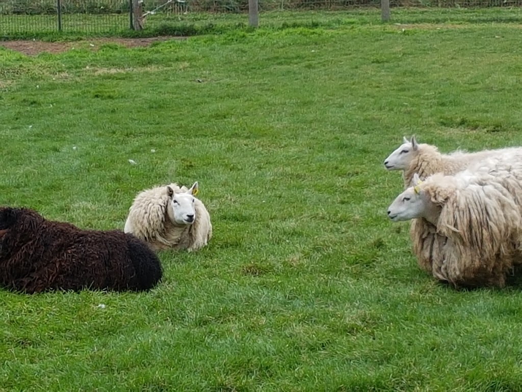 Harrington Lane Farms | Flamborough, Hamilton, ON N0B 2J0, Canada | Phone: (289) 895-8000