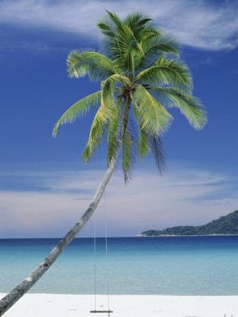 Ayr Travel Insurance | 205 Inglis St, Ayr, ON N0B 1E0, Canada | Phone: (519) 584-4290