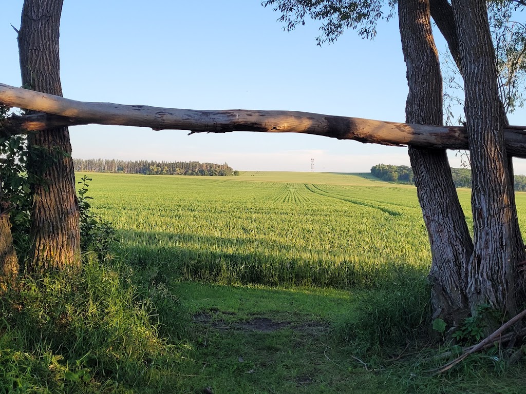 Cottonwood Campground | 45 Vanzile St, Treherne, MB R0G 2V0, Canada | Phone: (204) 723-2044