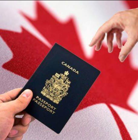 Greenstar Immigration Solutions Inc | 7900 Hurontario St #507, Brampton, ON L6Y 0P6, Canada | Phone: (416) 855-9464