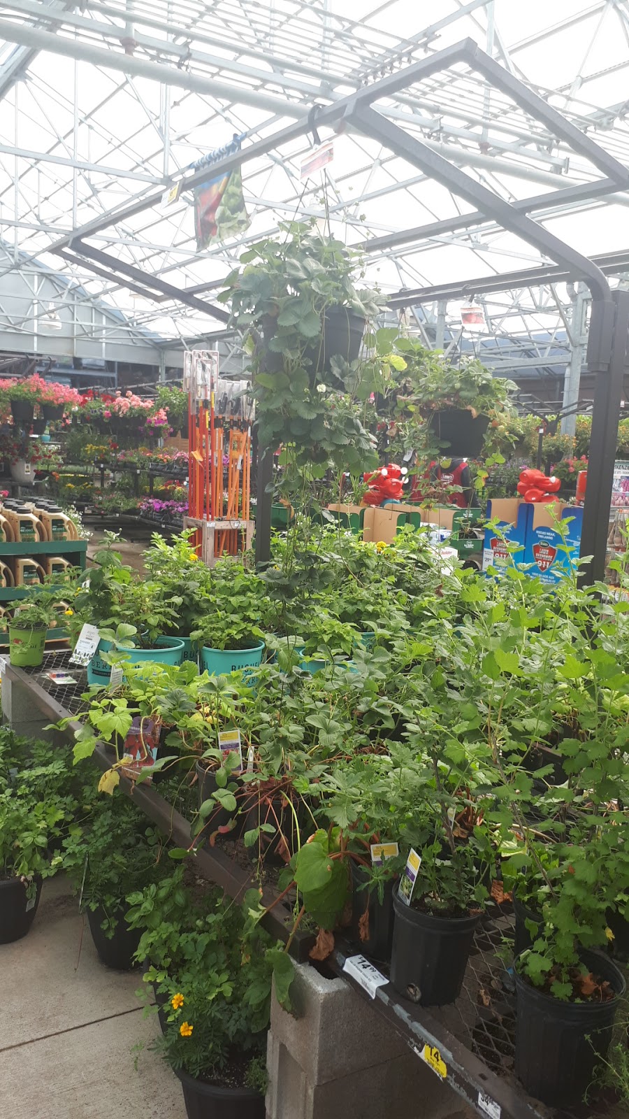 Lowes Garden Centre | 10111 Heart Lake Rd, Brampton, ON L6Z 0E4, Canada | Phone: (905) 843-4300