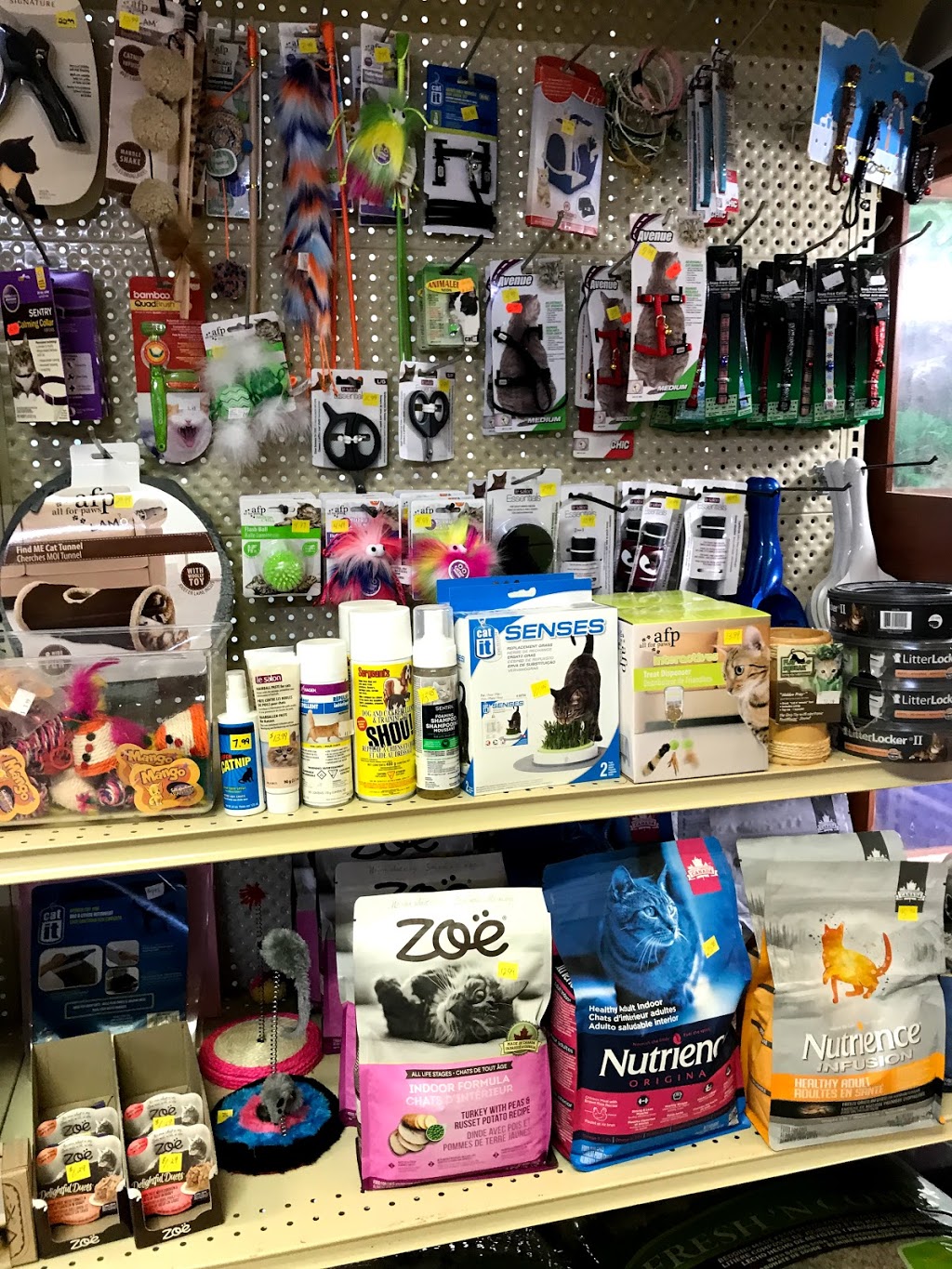 Aqua Tropicale | 159 Rue Lasalle, Saint-Constant, QC J5A 2G8, Canada | Phone: (450) 633-0775