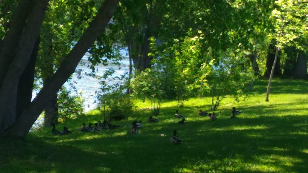 Parc Robert-Bourassa | 80 Rue Perreault, Trois-Rivières, QC G8T 9S8, Canada