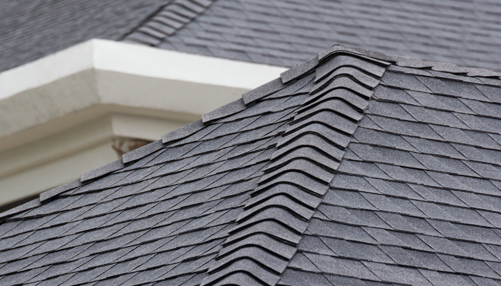 Dignity Roofing & Exteriors | 9133 Hemlock Dr #1207, Richmond, BC V6Y 0A8, Canada | Phone: (778) 814-7102