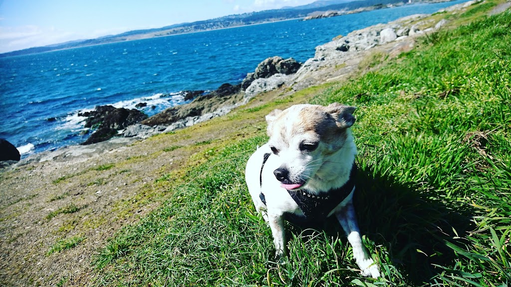 Saxe Point Park | Victoria, BC V9A 6G5, Canada | Phone: (250) 590-8896