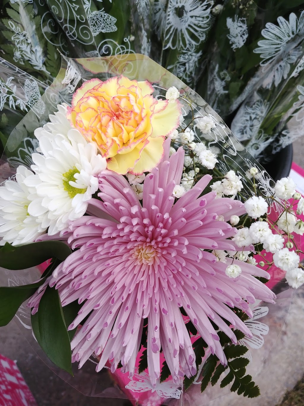 Select Blooms | 1675 Tenth Line Rd, Orléans, ON K1E 3P6, Canada | Phone: (613) 837-9966