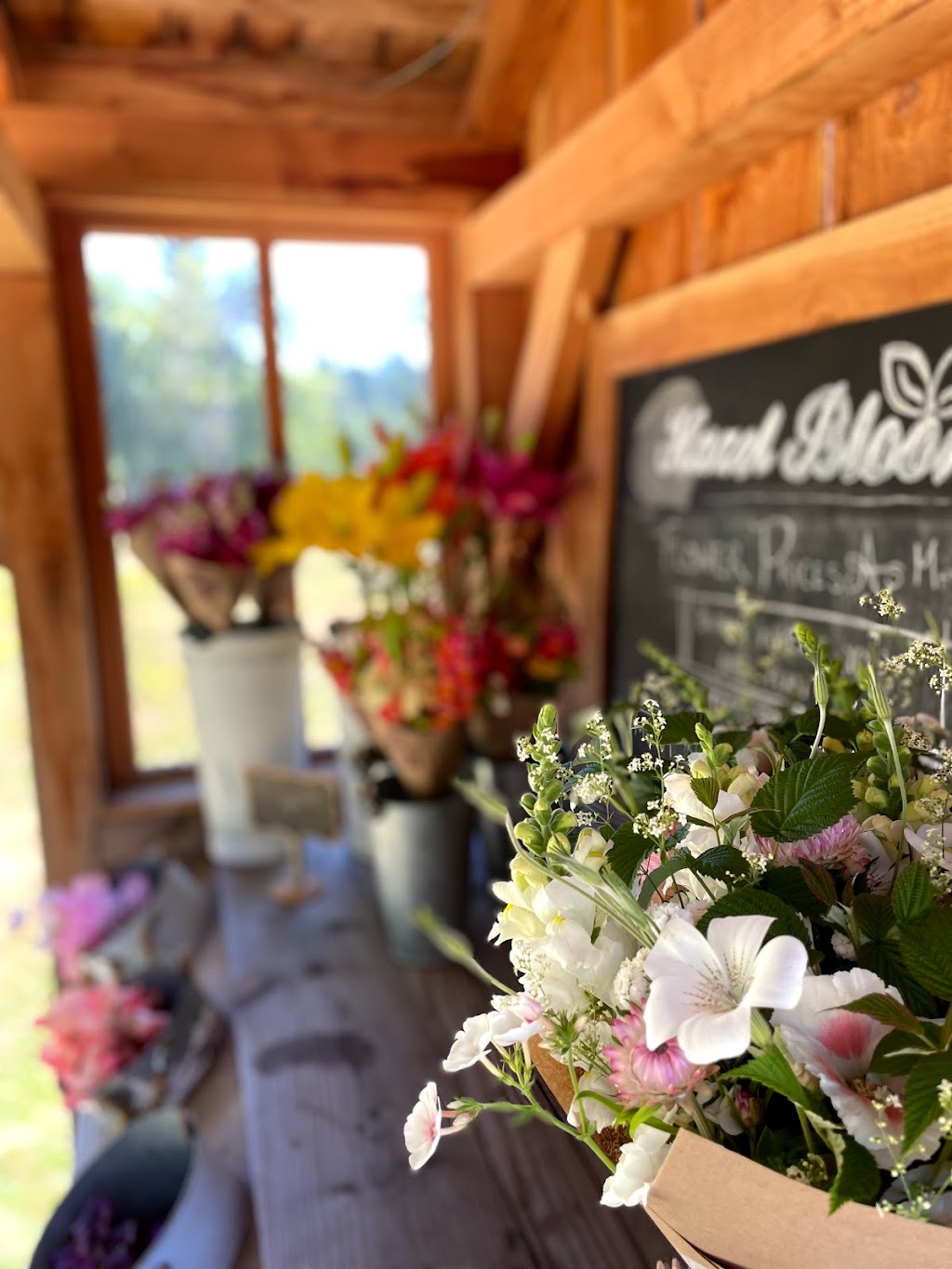 Hazel Bloom Farm and Flowers | 6235 Whitaker Rd, Courtenay, BC V9J 1V6, Canada | Phone: (250) 897-8237