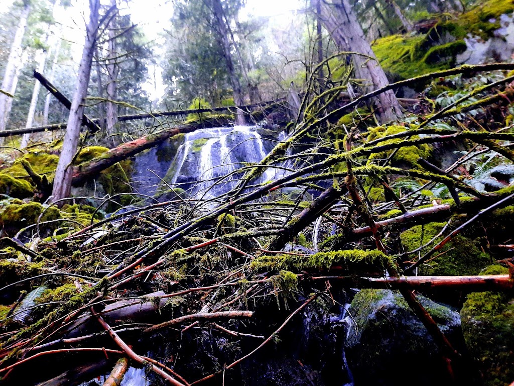 Kw’okw’echíwel Stl’áleqem (Dragons Back) trailhead | 19601 Silver Skagit Rd #20021, Hope, BC V0X 1L2, Canada | Phone: (604) 869-1274