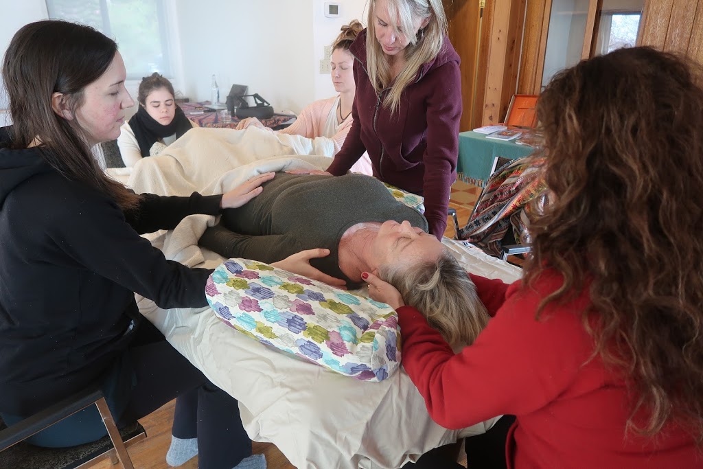 Integrative Healing with Sadhana | 1716 Jensen Rd, Gibsons, BC V0N 1V6, Canada | Phone: (604) 989-2457