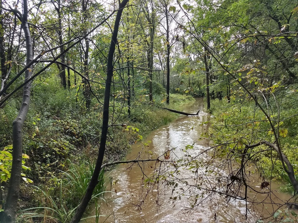 China Township Belle River Access Park | Belle River Rd, China Township, MI 48054, USA