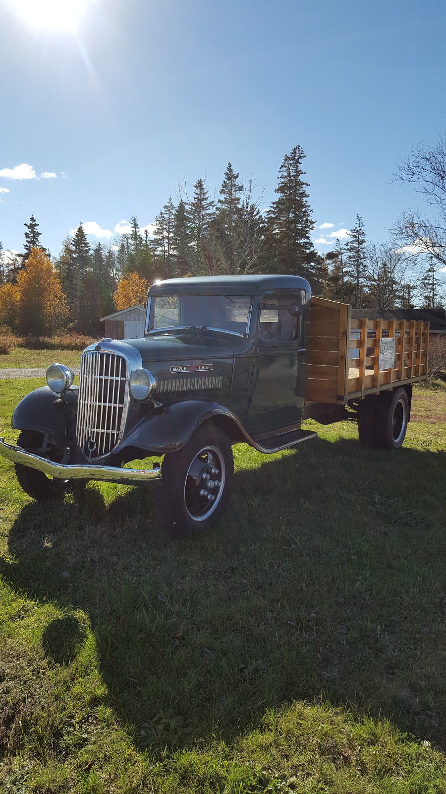 Newell Harold & Son Trucking Ltd | 993 Oak Park Rd, Barrington, NS B0W 1E0, Canada | Phone: (902) 637-1570
