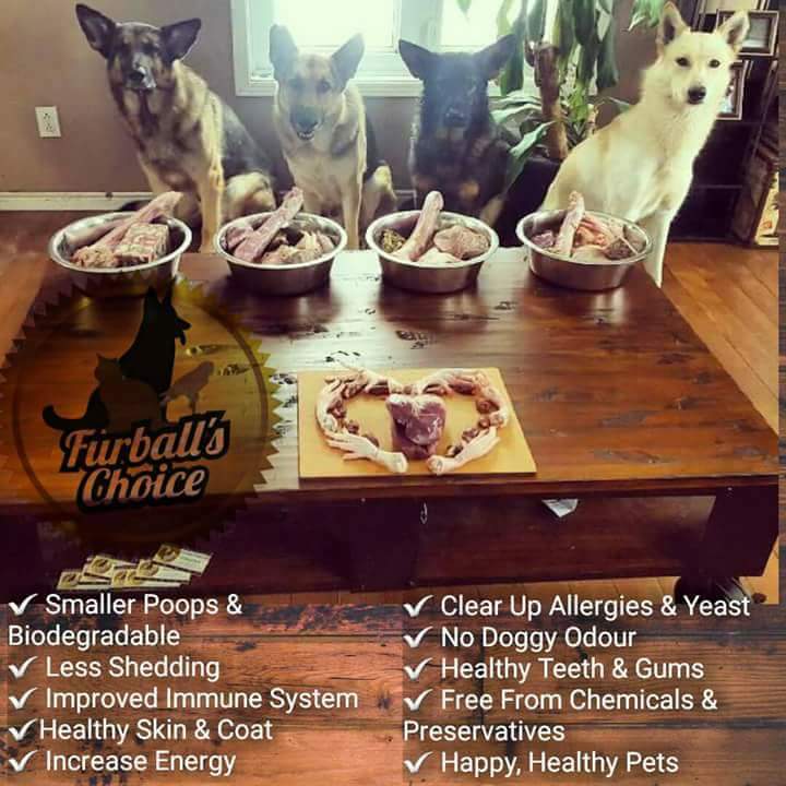 Furballs Choice | 300 Bell Blvd, Belleville, ON K8P 5H7, Canada | Phone: (613) 743-3600