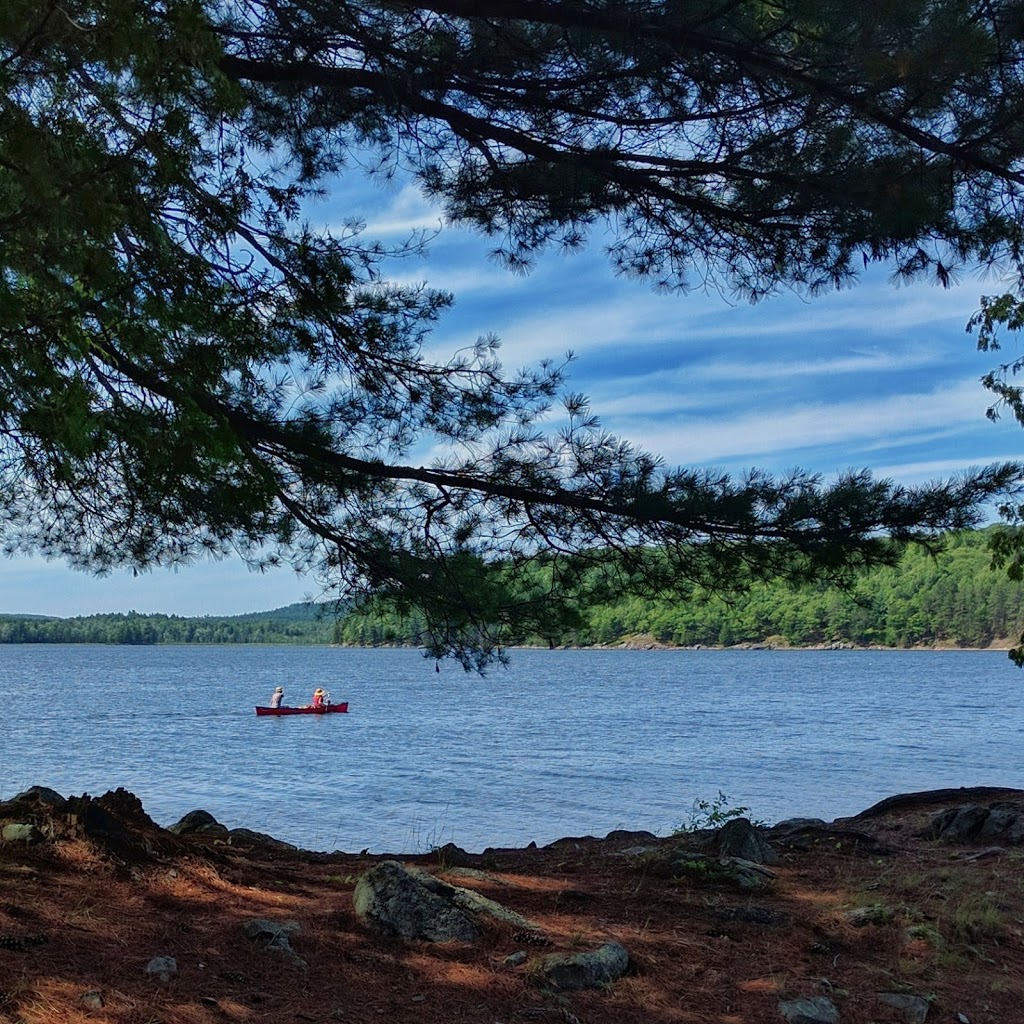 Lac la Pêche | Chemin Sincennes, Pontiac, QC J0X 2W0, Canada