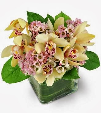 Barrington Florist | Historic Properties, 1869 Upper Water St, Halifax, NS B3J 1S9, Canada | Phone: (902) 423-9912