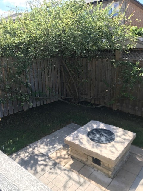 Amir Tree Services Inc. | 17 Baker Rd S, Grimsby, ON L3M 2W4, Canada | Phone: (647) 780-5234