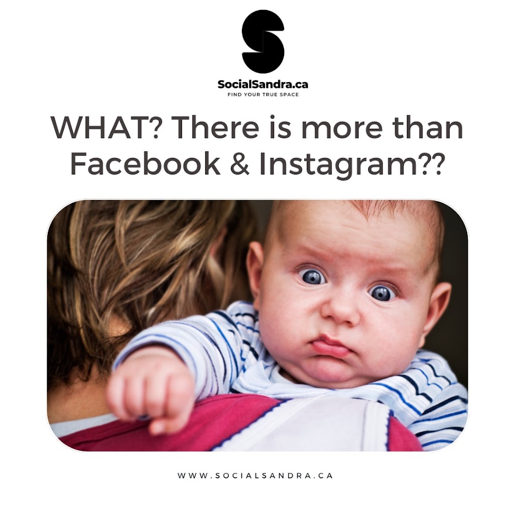 SOCIALSANDRA | 1811 Surgenor Rd, Black Creek, BC V9J 1G6, Canada | Phone: (250) 204-2292