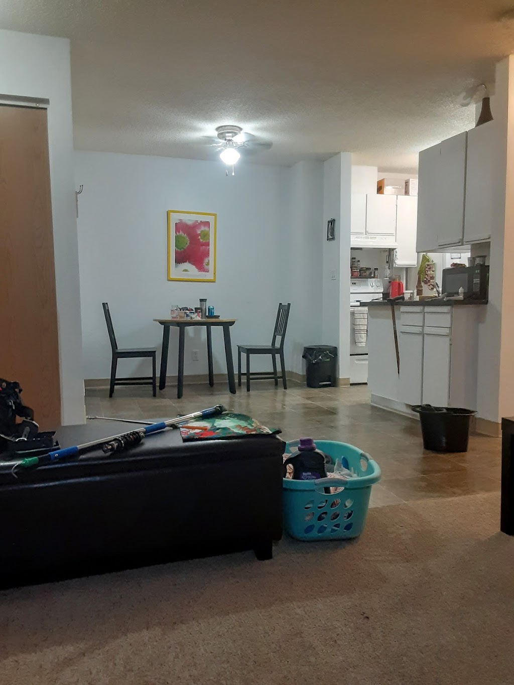 Castleview Park Apartments | 79 Castleridge Dr NE, Calgary, AB T3J 1Z2, Canada | Phone: (403) 280-5031