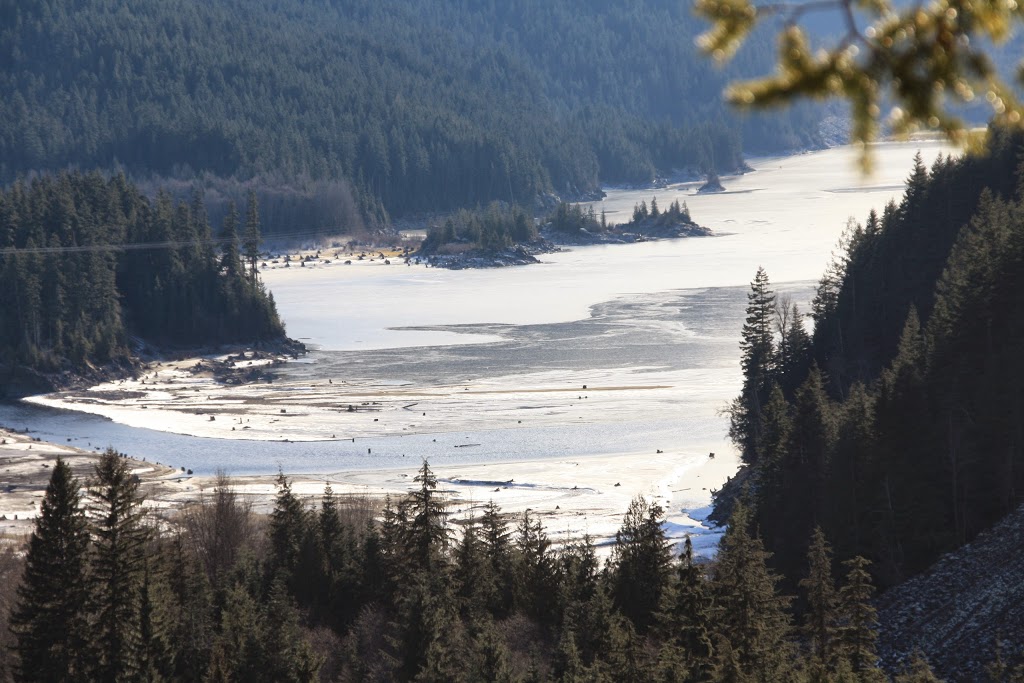 The Woodrun Lodge | 4910 Spearhead Pl, Whistler, BC V0N 1B4, Canada | Phone: (604) 932-0100