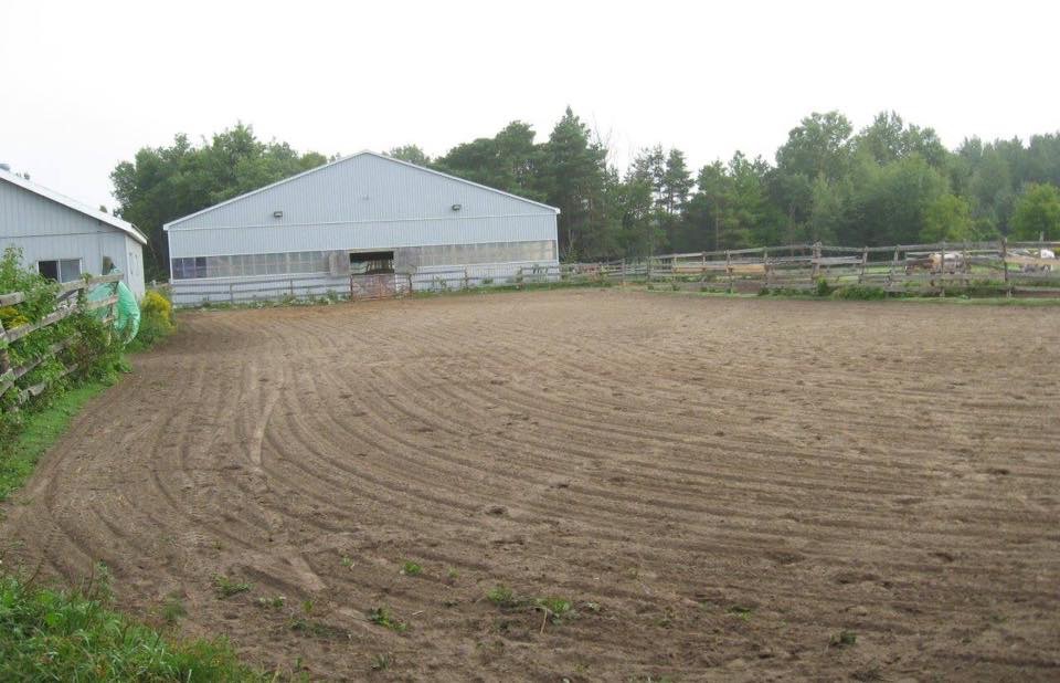 Spotacular farms | 4358 Holborn Rd, Mount Albert, ON L0G 1M0, Canada | Phone: (289) 716-4461
