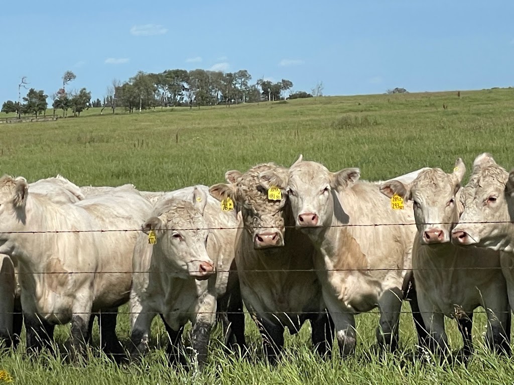 Rawes Ranches Ltd. | 44509-RR150, Strome, AB T0B 4H0, Canada | Phone: (780) 376-2241