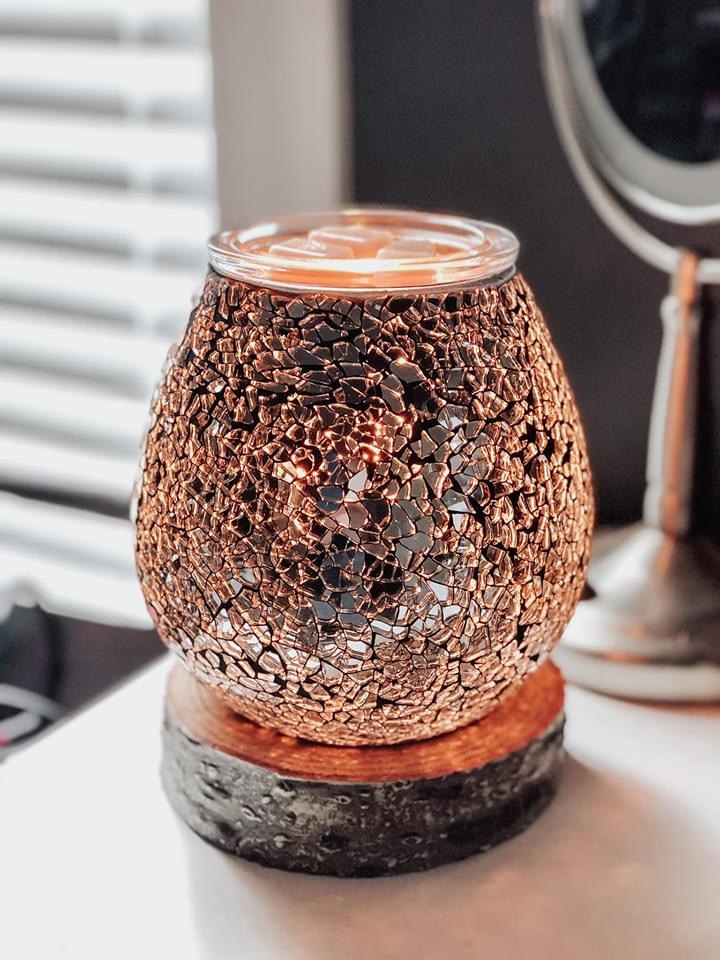 Dana Lucas Independent Scentsy Superstar Director | 1319 2nd Concession Rd St, Delhi, ON N4B 2W4, Canada | Phone: (519) 420-9020