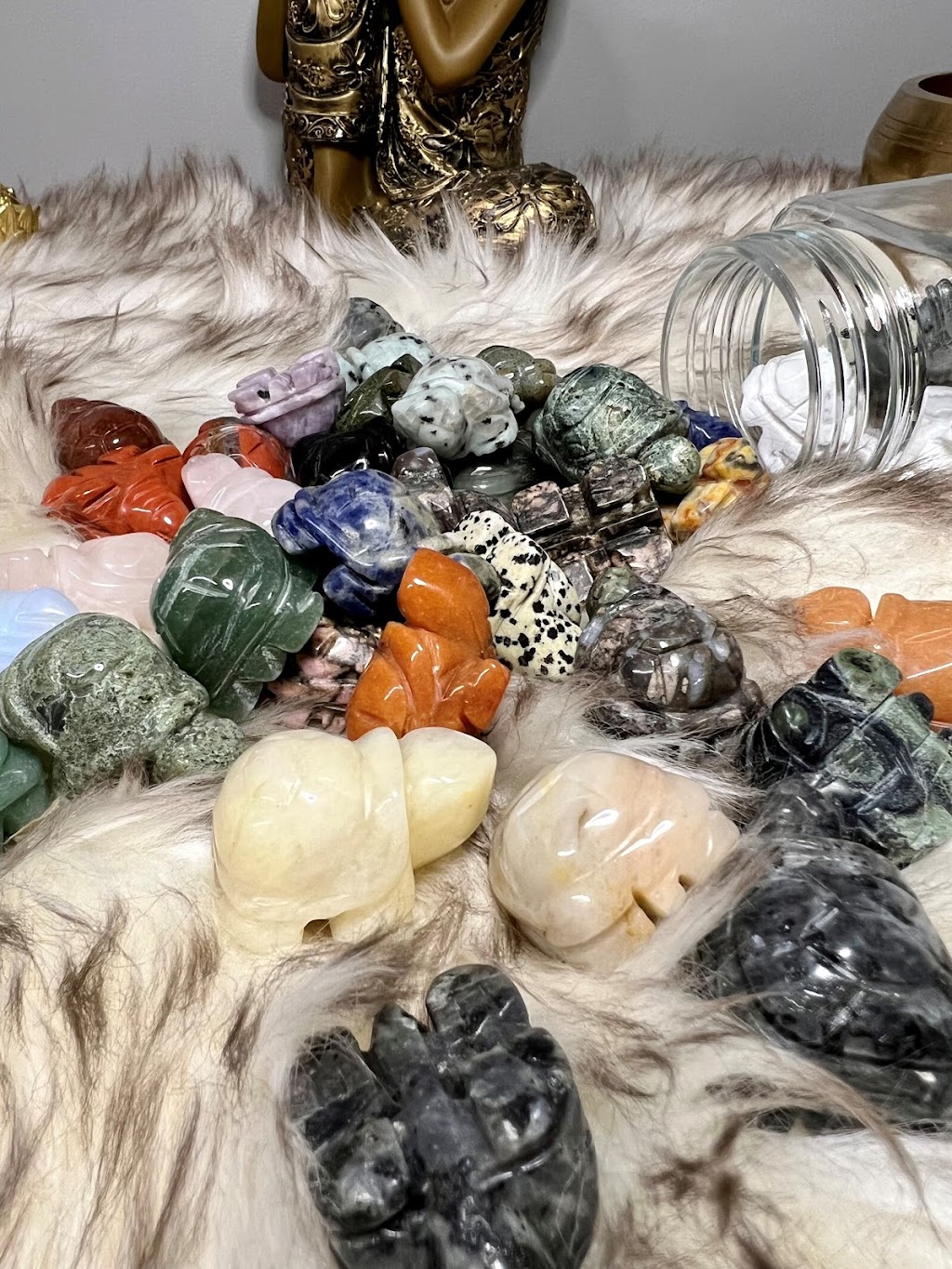 Chameleon Crystals | 54 Bartor Rd, North York, ON M9M 2G5, Canada | Phone: (647) 404-7291