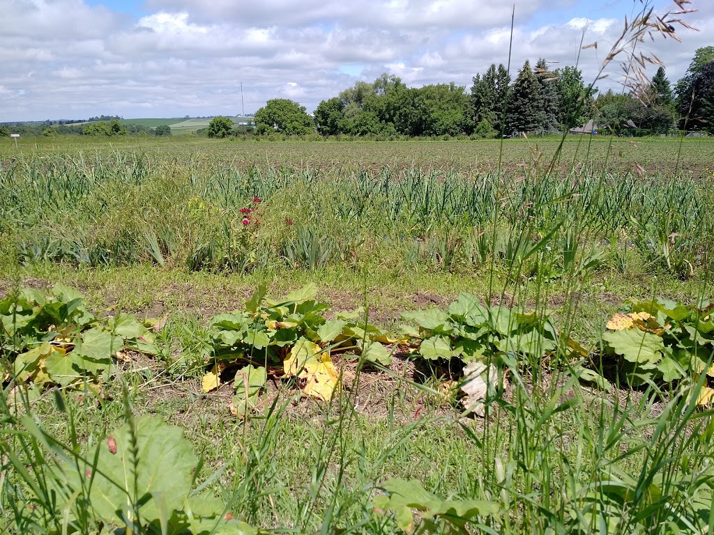 Spring View Farms | 11680 Durham Regional Rd 1, Uxbridge, ON L9P 1R2, Canada | Phone: (905) 852-2795